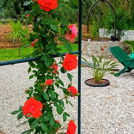 L'orto Di Antonio 팔리누로