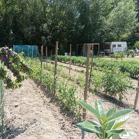 L'orto Di Antonio